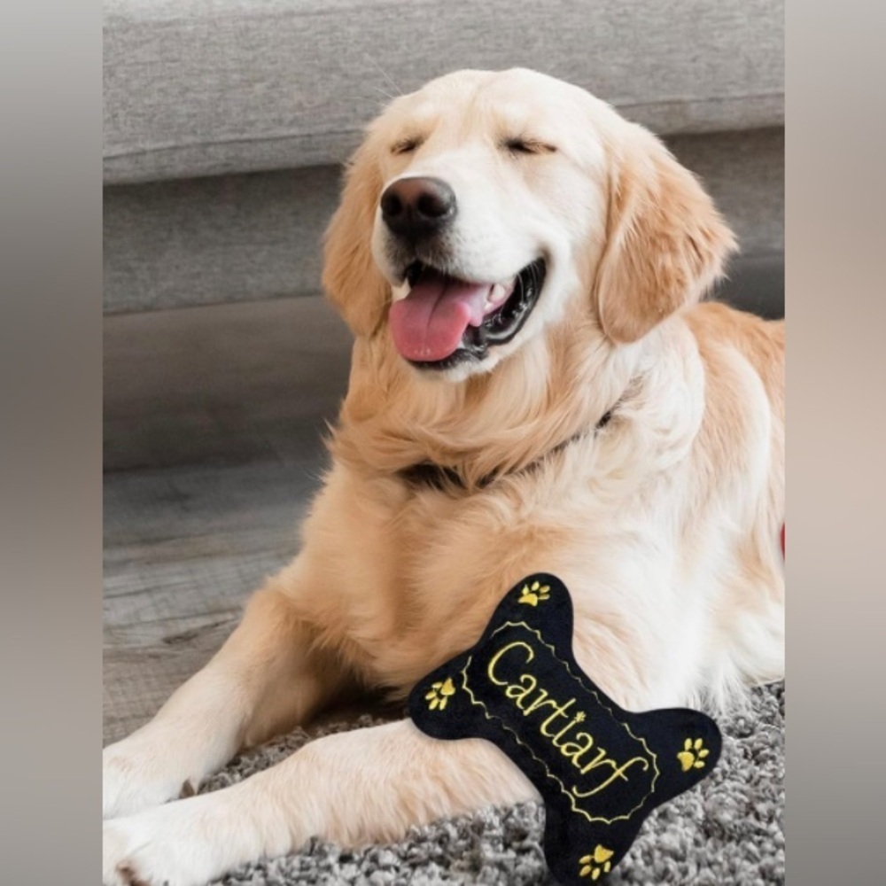 Dog 🐶 Toy - Picture 2 of 3